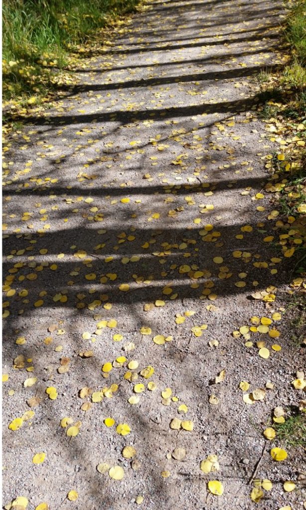 shadow-path1